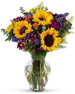 BENCHMARK BOUQUETS - Flowering Fields (Glass Vase Included), Next-Day Delivery, Gift Fresh Flowers for Birthday, Anniversary, Get Well, Sympathy, Graduation, Congratulations, Thank You image