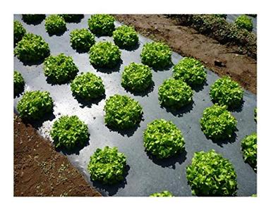 Grower's Solution Black Plastic Mulch 4ft. X 100ft. 1.0 Mil Embossed image