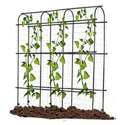 Garden Trellis for Climbing Plants Outdoor | Metal Plant Support Structure for Outdoor Vegetables/Fruits/Flowers VInes | Large Garden Arch Cucumber Trellis With Nylon Garden Netting, 6ft x 6 ft, Black image