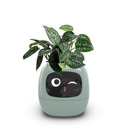 Itigoitie Smart Flowerpots,Smart Pet Planter,Ai Planter,Intelligent Flowerpots,Multiple Expressions,7 Smart Sensors, and Ai Chips Make Raising Plants Easy and Fun for Living Room,Plant-Free(Green) image