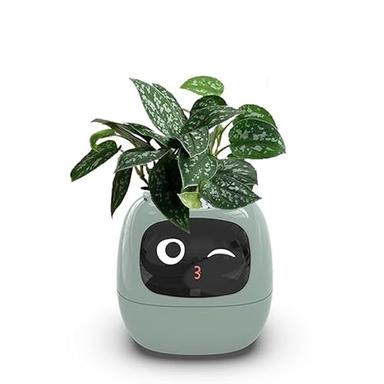 Itigoitie Smart Flowerpots,Smart Pet Planter,Ai Planter,Intelligent Flowerpots,Multiple Expressions,7 Smart Sensors, and Ai Chips Make Raising Plants Easy and Fun for Living Room,Plant-Free(Green) image