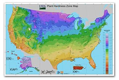Antiguos Maps USA Plant Hardiness Zones | Includes Hawaii, Alsaka and Puerto Rico | Art Print Poster image