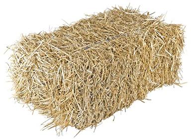Garden Elements Straw Bale by Shady Creek Farm, Perfect for Fall Decor, Parties, Animal Feed (20-24") image
