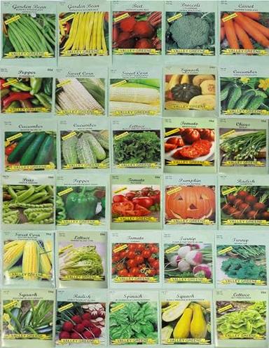 30 Packs of Deluxe Valley Greene Heirloom Vegetable Garden Seeds Non-GMO(Guaranteed 30 Different Varieties as Listed) image