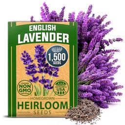 HOME GROWN Premium English Lavender Seeds | 1500 Non-GMO Herb Seeds | USA-Sourced Wildflower Seed for Planting Indoor/Outdoor | High Germination | Plant Flower Seeds image