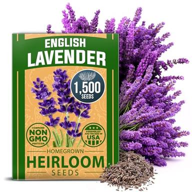 HOME GROWN Premium English Lavender Seeds | 1500 Non-GMO Herb Seeds | USA-Sourced Wildflower Seed for Planting Indoor/Outdoor | High Germination | Plant Flower Seeds image