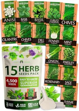 HOME GROWN 15 Culinary Herb Seeds - Heirloom & Non GMO - High Germination Rate - Seeds for Planting Indoor Hydroponic or Outdoor Garden | Gardening Gift Men Women Gardeners Basil, Cilantro, Mint image