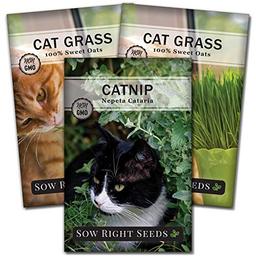 Sow Right Seeds - Catnip and Cat Grass Seed Collection for Planting Indoors or Outdoors - Includes Popular Herb Catnip and Cat Grass (100% Sweet Oat Grass) - Non-GMO Heirloom Packet - Pet Friendly image