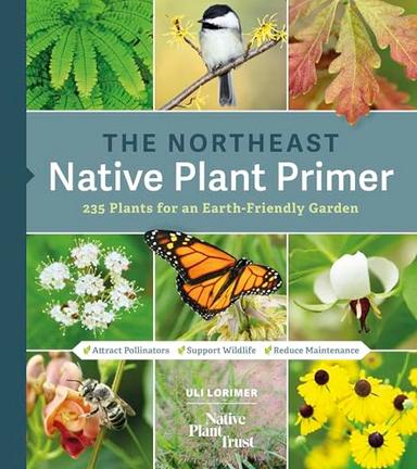 The Northeast Native Plant Primer: 235 Plants for an Earth-Friendly Garden image