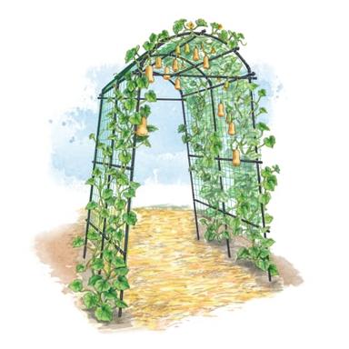 Gardener’s Supply Company Extra Tall Garden Arch Arbor 80in Titan Squash Tunnel | Lightweight Metal, Trellis Plant Stand for Climbing Vines | Outdoor Lawn Tower & Garden Support Structure image