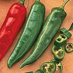 Garden Salsa Hot Peppers Seeds (50 Seed Packet)(Non GMO Organic Vegetable Fruit Garden Seeds) Non-Hybrid, by Home Decorium image