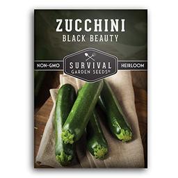 Survival Garden Seeds - Black Beauty Zucchini Seed for Planting - Pack with Instructions to Plant and Grow Dark Green Zucchini in Your Home Vegetable Garden - Non-GMO Heirloom Variety - 1 Pack image