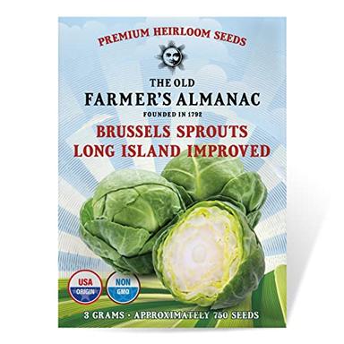 The Old Farmer's Almanac Heirloom Brussels Sprouts Seeds (Long Island Improved) - Approx 700 Seeds - Non-GMO, Open Pollinated, USA Origin image