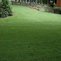 Outsidepride 10 lb. SPF-30 Heat & Drought Tolerant Hybrid Bluegrass Lawn Grass Seed image