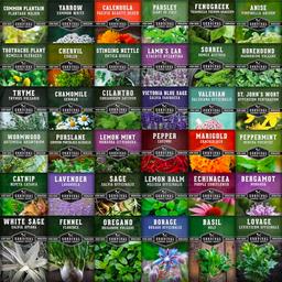 Ultimate Medicinal Herbs Collection - 36 Variety Pack of Herb Seeds for Growing Essential Healing Plants - Mixed Assortment for Homesteaders - Non-GMO Heirloom Varieties - Survival Garden Seeds image