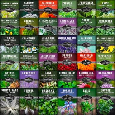 Ultimate Medicinal Herbs Collection - 36 Variety Pack of Herb Seeds for Growing Essential Healing Plants - Mixed Assortment for Homesteaders - Non-GMO Heirloom Varieties - Survival Garden Seeds image