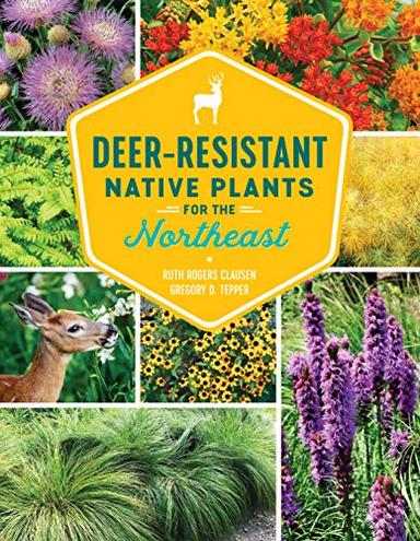Deer-Resistant Native Plants for the Northeast image