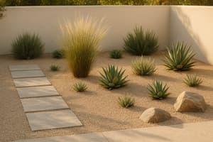 Ultimate Guide to Sustainable Minimalist Landscaping