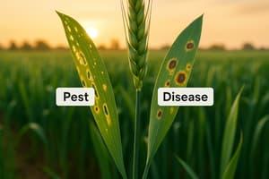 Pest vs. Disease: AI Detection Methods