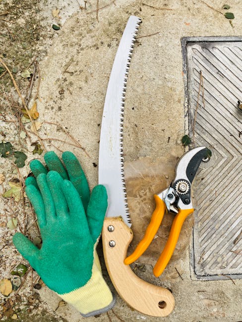 Image about The Ultimate Guide to A.M. Leonard Garden Tools: Choose the Best for Your Garden