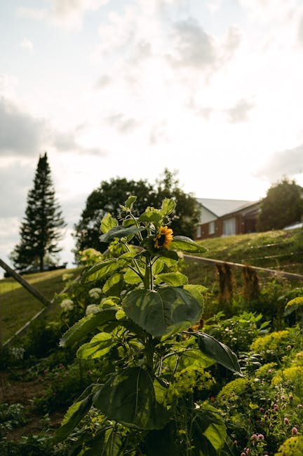 Image about Gardening in Ontario, Oregon: Tips for Success