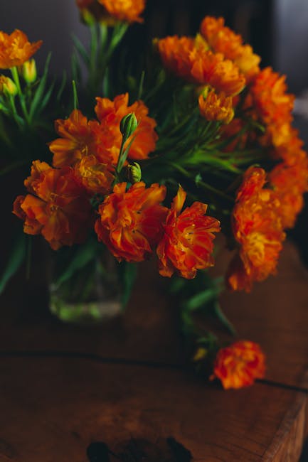 Image about Enhancing Your Vegetable Garden: The Benefits of Planting Marigolds