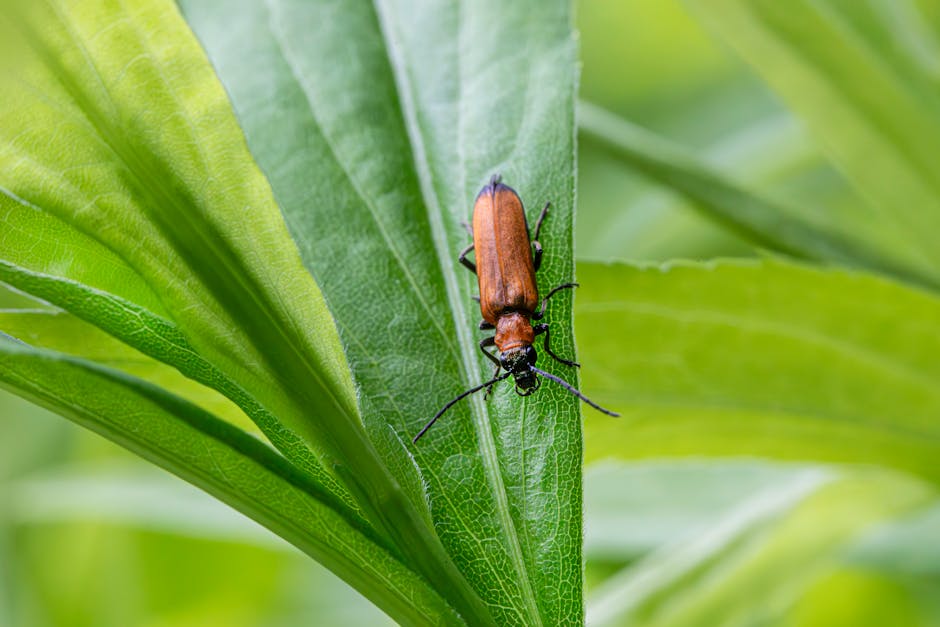 Image about Exploring Garden Habitats: Where Do Garden Creatures Live?