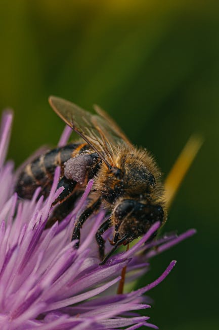 Image about Creating a Garden for the Endangered Rusty-Patched Bumblebee