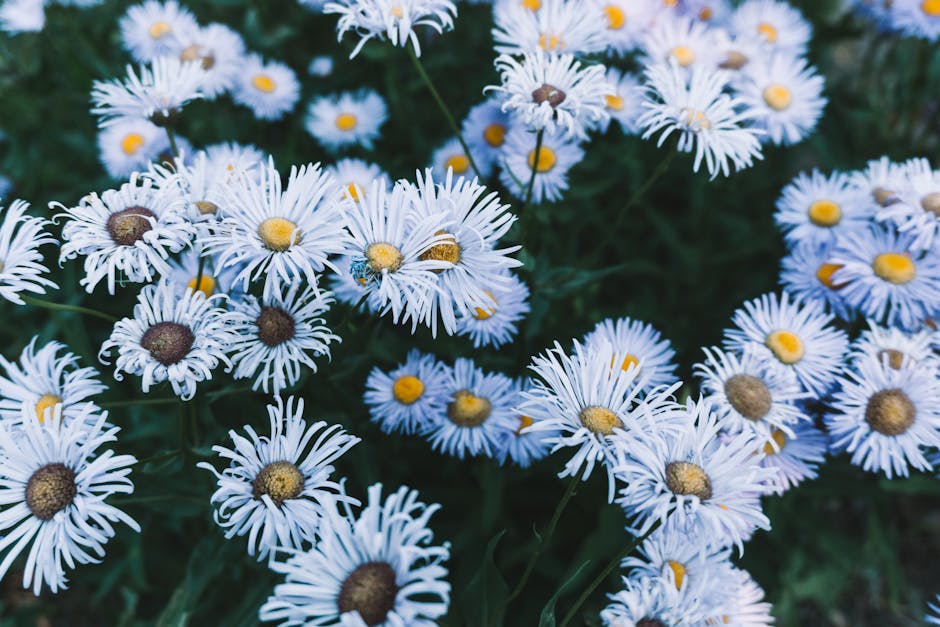 Image about Garden Zones in Colorado: Understanding USDA Plant Hardiness Map