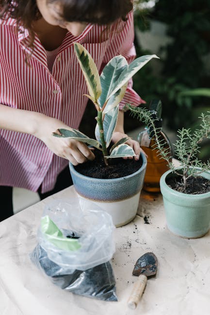 Image about The Ultimate Guide to Choosing and Using Planters for Vegetables