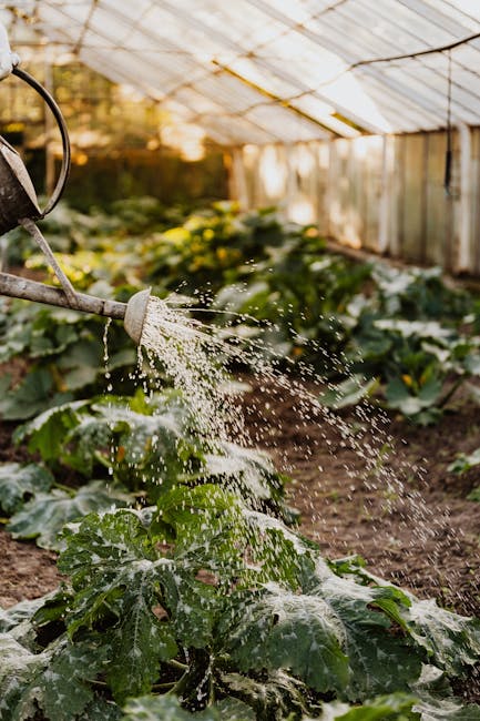 Image about Essential Guide to Planning Your Garden for a Bountiful Harvest