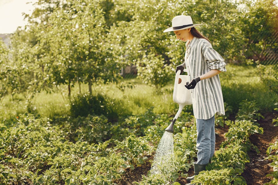 Image about Optimizing Vegetable Garden Watering with a Soaker Hose: A Complete Guide