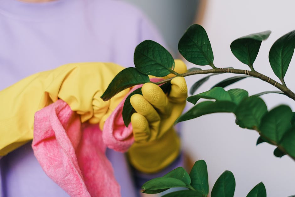 Image about How to Wash Garden Gloves: A Step-by-Step Guide