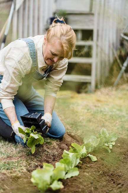 Image about Optimizing Your Garden with Azul Queen's Garden Strategy: Key Strategies for Success