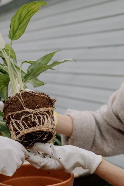 Image about The Benefits of Using Elevated Garden Planter Boxes for Urban Gardening