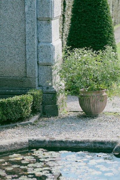 A Complete Guide to Planning Your Garden Plot: Location, Size, Plant Selection, Soil Preparation and Maintenance