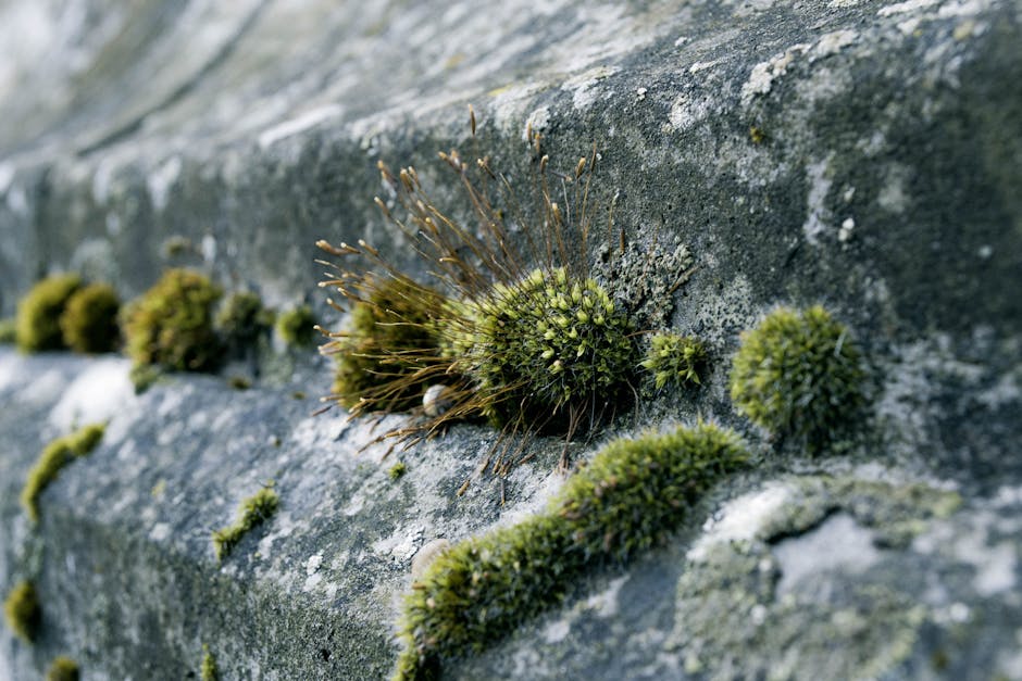 The Benefits and How-To Guide for Building Moveable Raised Garden Beds