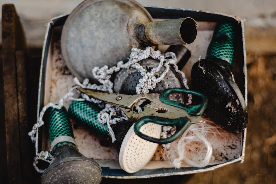 Unveiling the Gardening Secrets of Laura from Garden Answer