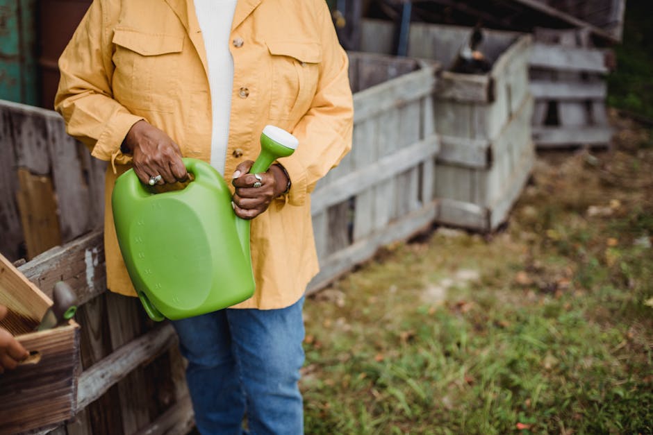 Transform Your Yard: Mastering Winter Garden Design