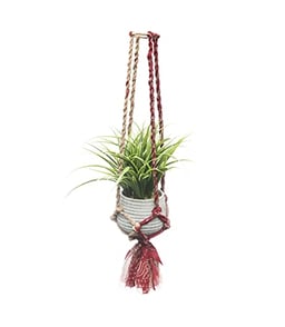 Matr Boomie Upcycled Assorted Muliticolor Sari Fabric Macrame Plant Hanger Indoor Hanging Planter Basket with Tassels for Indoor Outdoor Boho Home Decor 24 Inch, Holds 6" Pot (Pot not Included) image