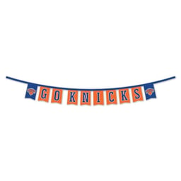 WinCraft New York Knicks Banner String Pennant Flags image