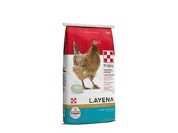 Purina Layena | Nutritionally Complete Layer Hen Feed Crumbles - Chicken Feed | 25 Pound (25 lb) Bag image