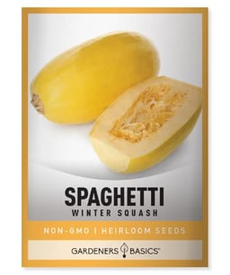 Gardeners Basics, Spaghetti Squash Seeds for Planting - Winter Squash Heirloom, Non-GMO Vegetable Squash Variety- 3 Grams Seeds Great for Summer Garden image