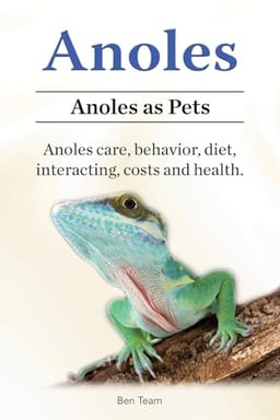 Anoles. Anoles as Pets. Anoles care, behavior, diet, interacting, costs and health. image