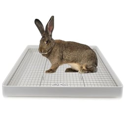 Oncpcare 22x18 Super Large Rabbit Litter Box with 2 Grates (Metal & Plastic), Bunny Litter Tray for Cage, Small Animal Potty Trainer for Adult Rabbit Flemish Giant Rabbit image