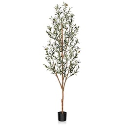 Kazeila Artificial Olive Tree 6FT Tall Faux Silk Plant for Home Office Decor Indoor Fake Potted Tree with Natural Wood Trunk and Lifelike Fruits image