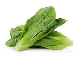 3000 Parris Island Cos Romaine Lettuce Seeds - 4+ Grams - Heirloom Non-GMO USA Grown Premium Vegetable Seeds for Planting - by RDR Seeds image