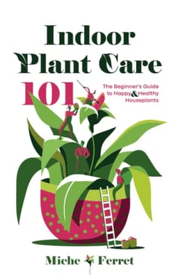 Indoor Plant Care 101: The Beginner's Guide to Happy & Healthy Houseplants image