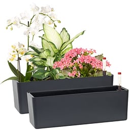 GardenBasix Elongated Self Watering Planter Pots 2-Pack Window Box 5.5 x 16 inch Indoor Home Garden Modern Decorative Pot for All House Plants Flowers Herbs (Dark Grey,2) image