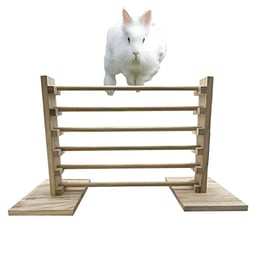 Rabbit Jump Bar Natural Wood Activity Toys Set Training Hurdles Exercise Adjustable Height Obstacle Games for Bunny Chinchilla Guinea Pig image